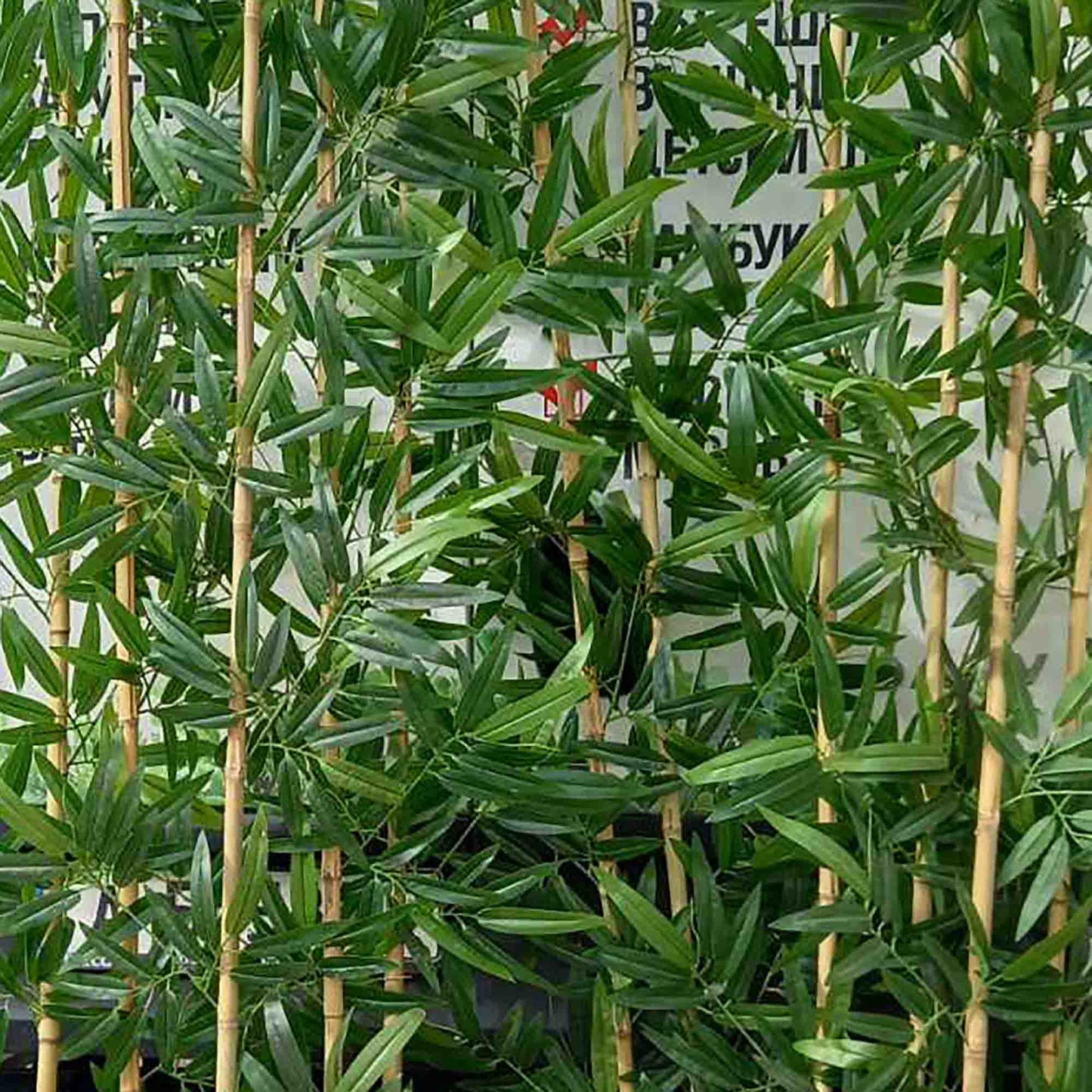 Бамбук за декорация с изкуствени листа 2м.