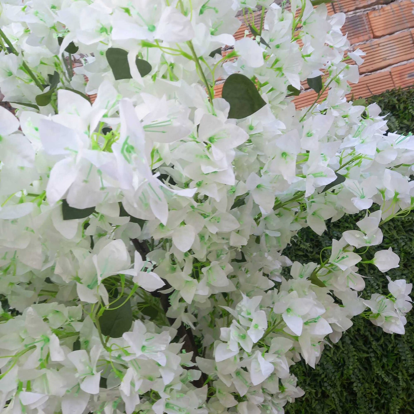 Декоративно дръвче в бели цветове 031