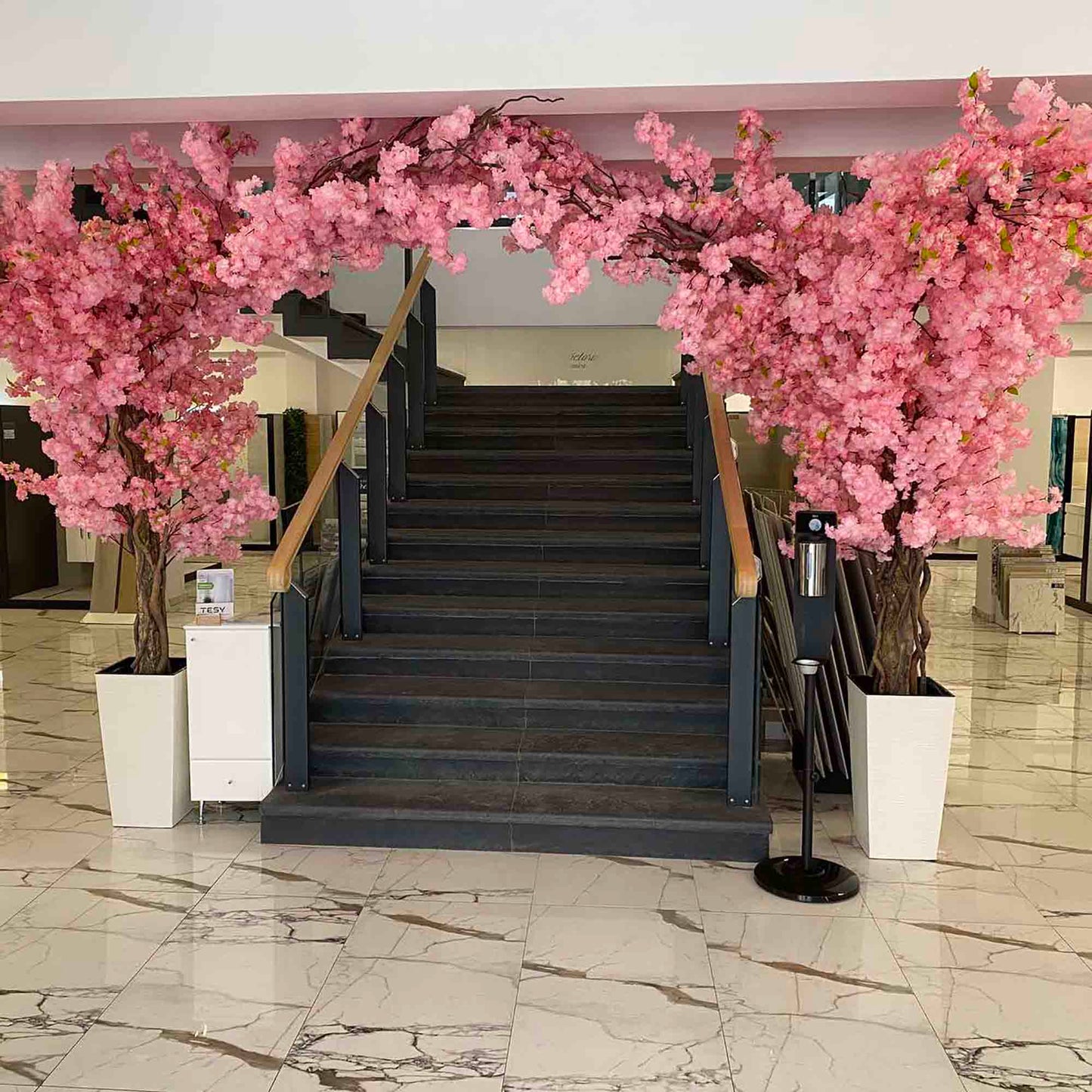 Декоративни дръвчета във формата на арка 05