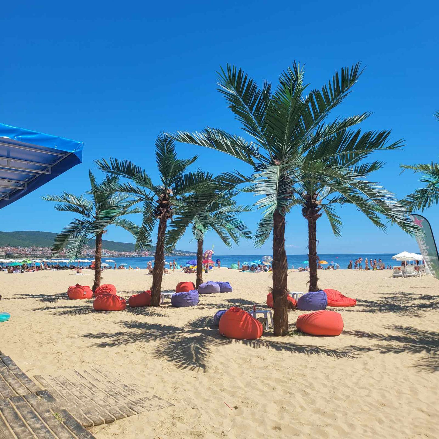 Изкуствена палма с естествени косми по стъблото 17