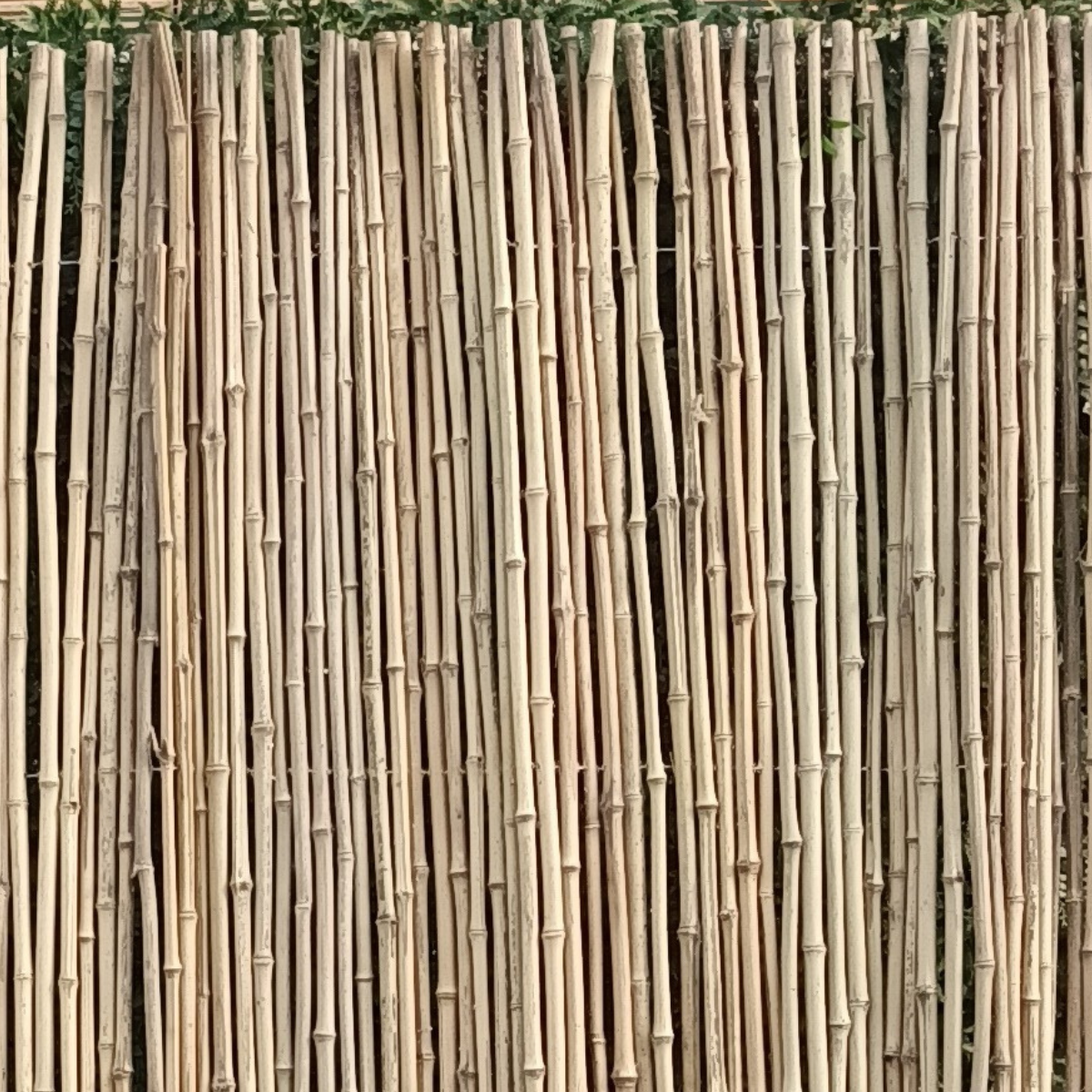 Ограда от бамбук - OB08