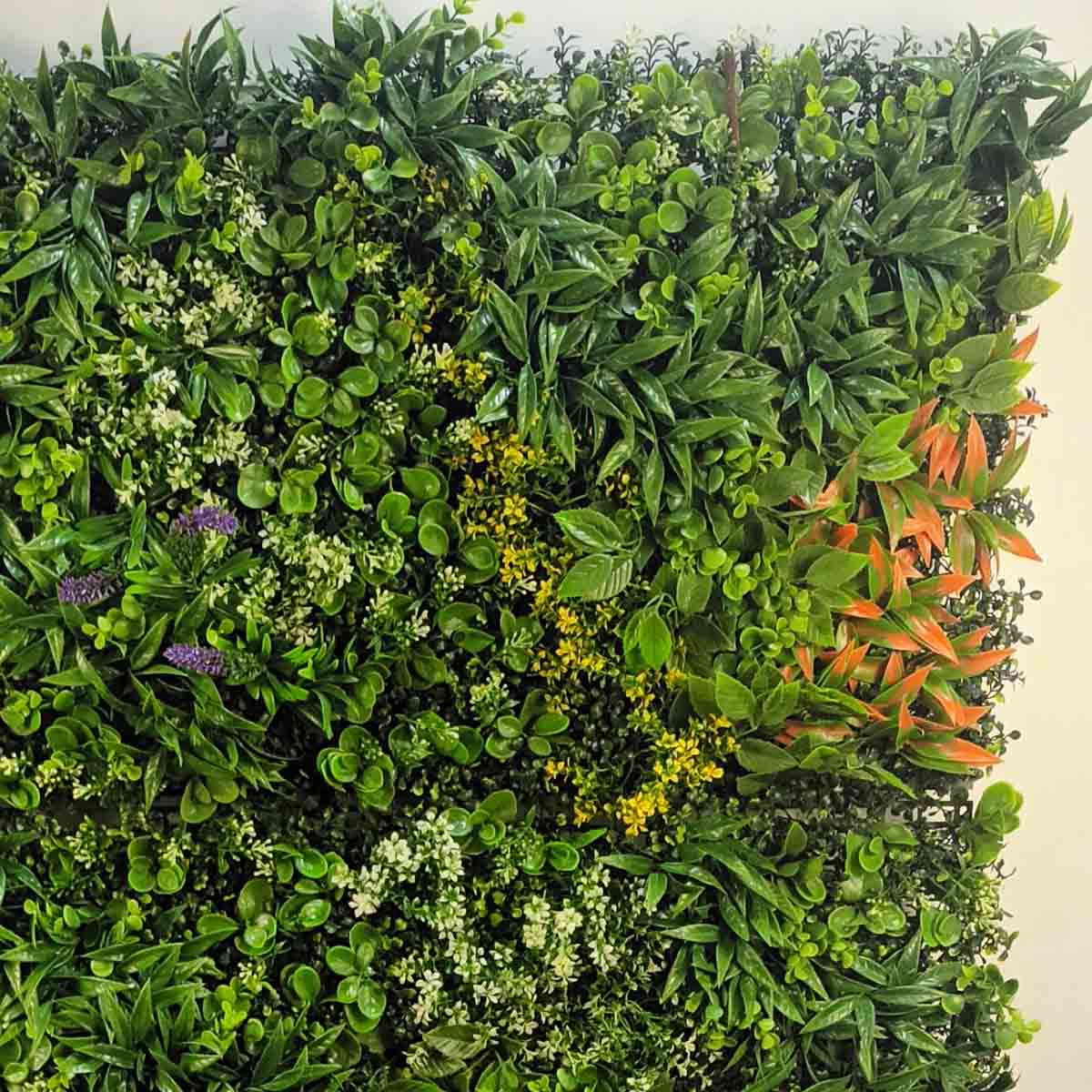 Зелен панел - Baron.bg