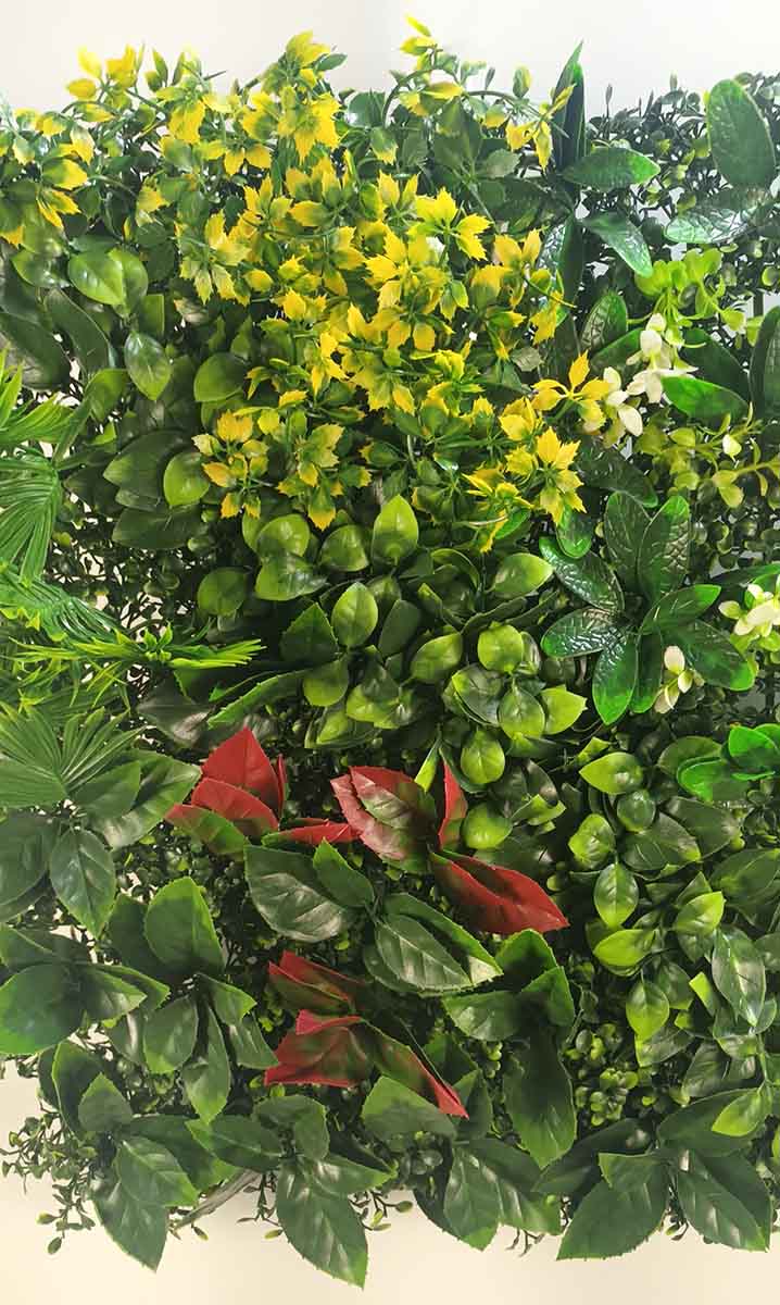 Зелен панел - Baron.bg