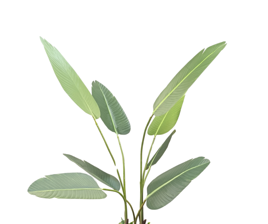 Изкуствено дърво Райска птица ― Baron.bg