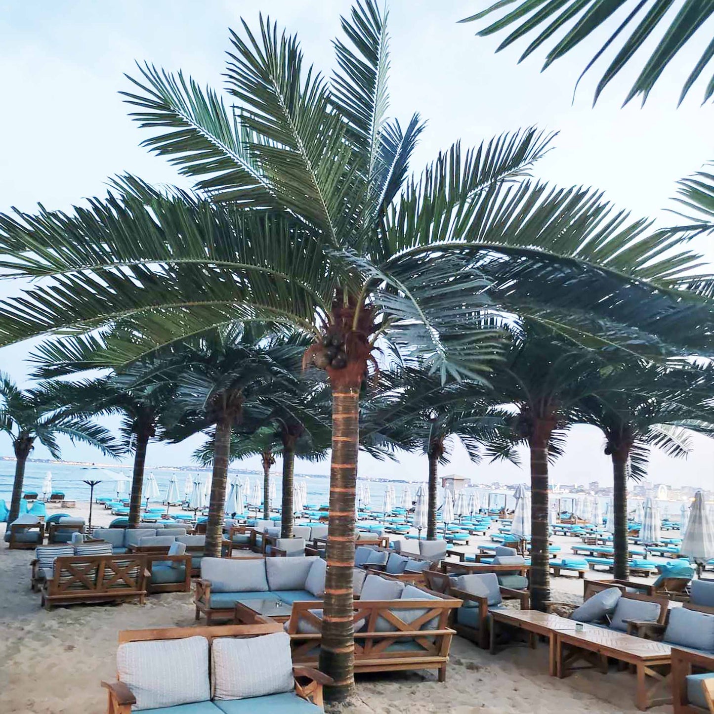 Изкуствена палма със стъбло от фибро пласт