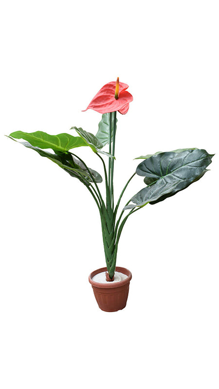 Изкуствен Антуриум с 2 цвята 70см.