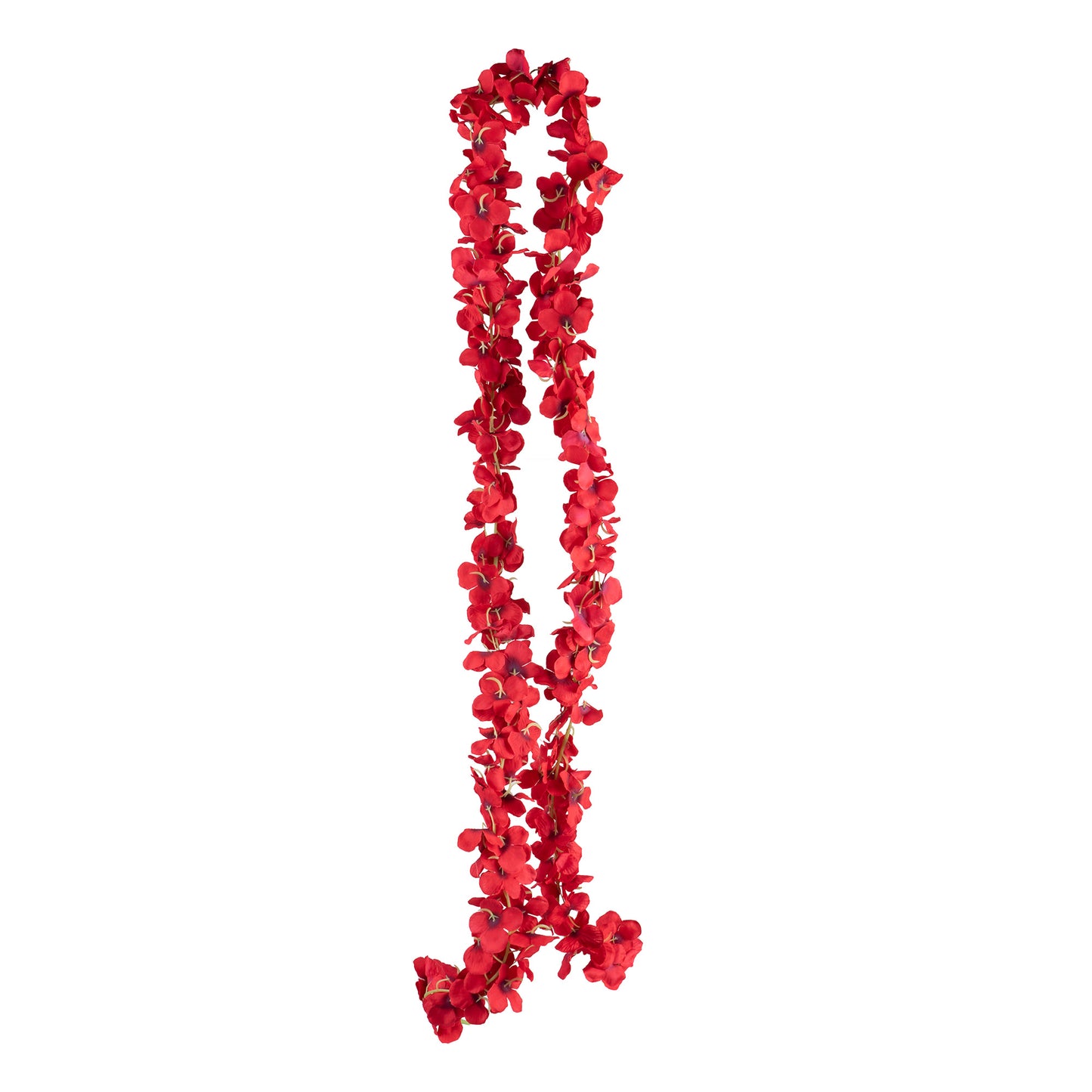 Висящо растение ― Baron.bg