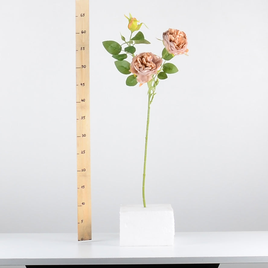 Стрък роза с два цвята и две пъпки - baron.bg