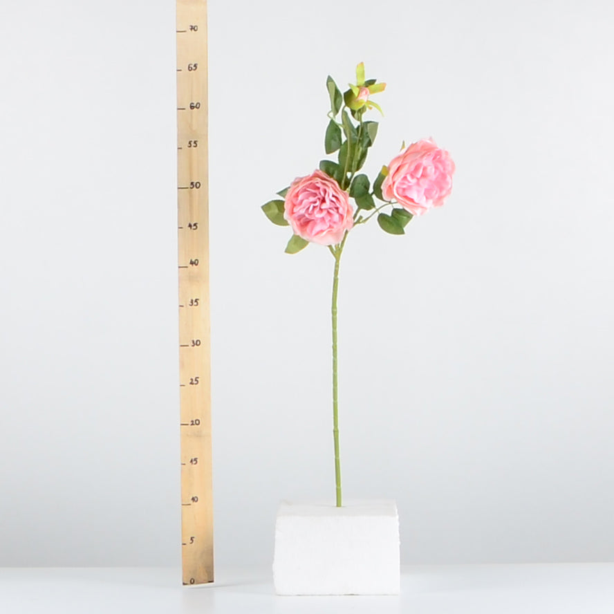 Стрък роза с два цвята и една пъпка - INR188C