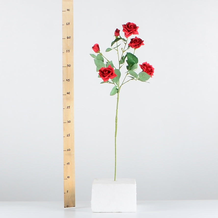 Стрък роза с четири цвята и две пъпки - baron.bg