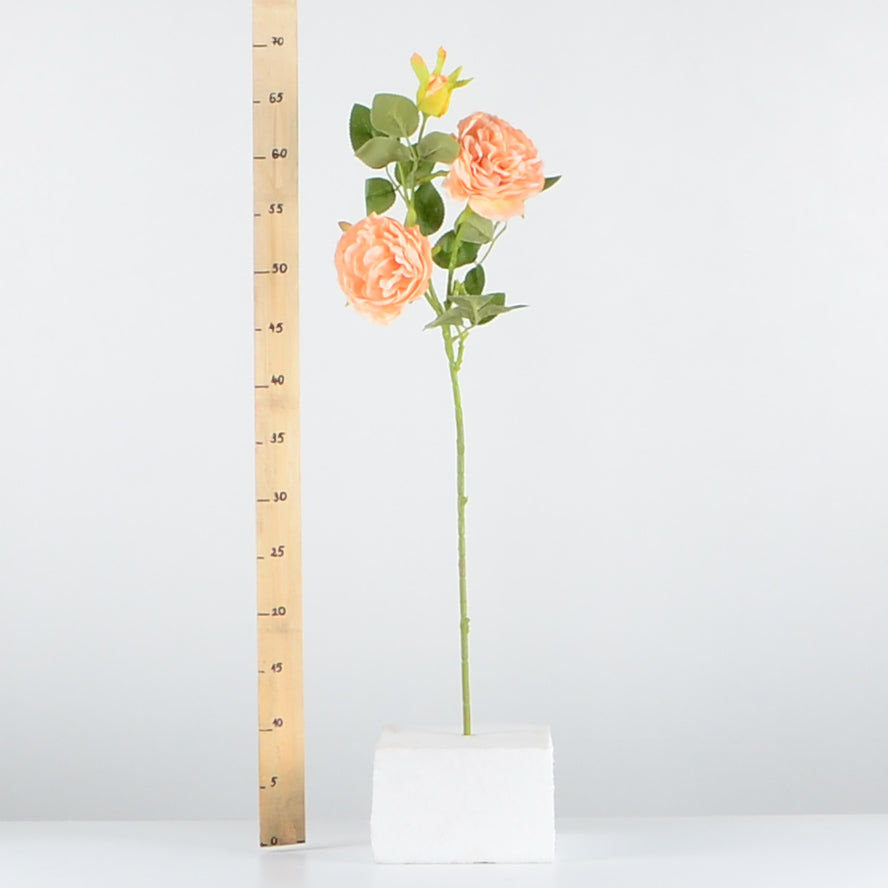 Стрък роза с два цвята и една пъпка - baron.bg