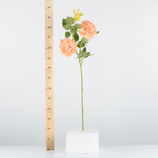 Стрък роза с два цвята и една пъпка - baron.bg