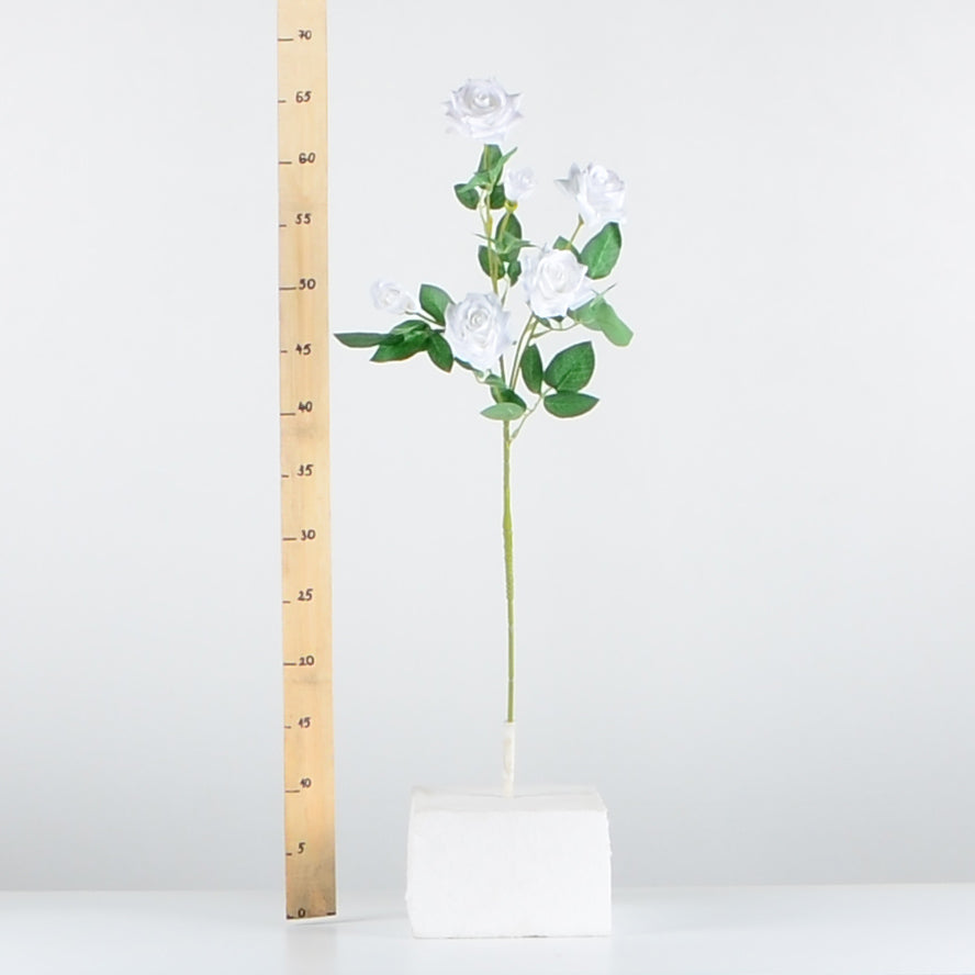 Стрък роза с два цвята и две пъпки - baron.bg