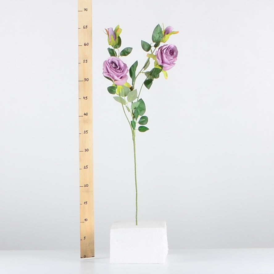 Стрък роза с два цвята и две пъпки - baron.bg