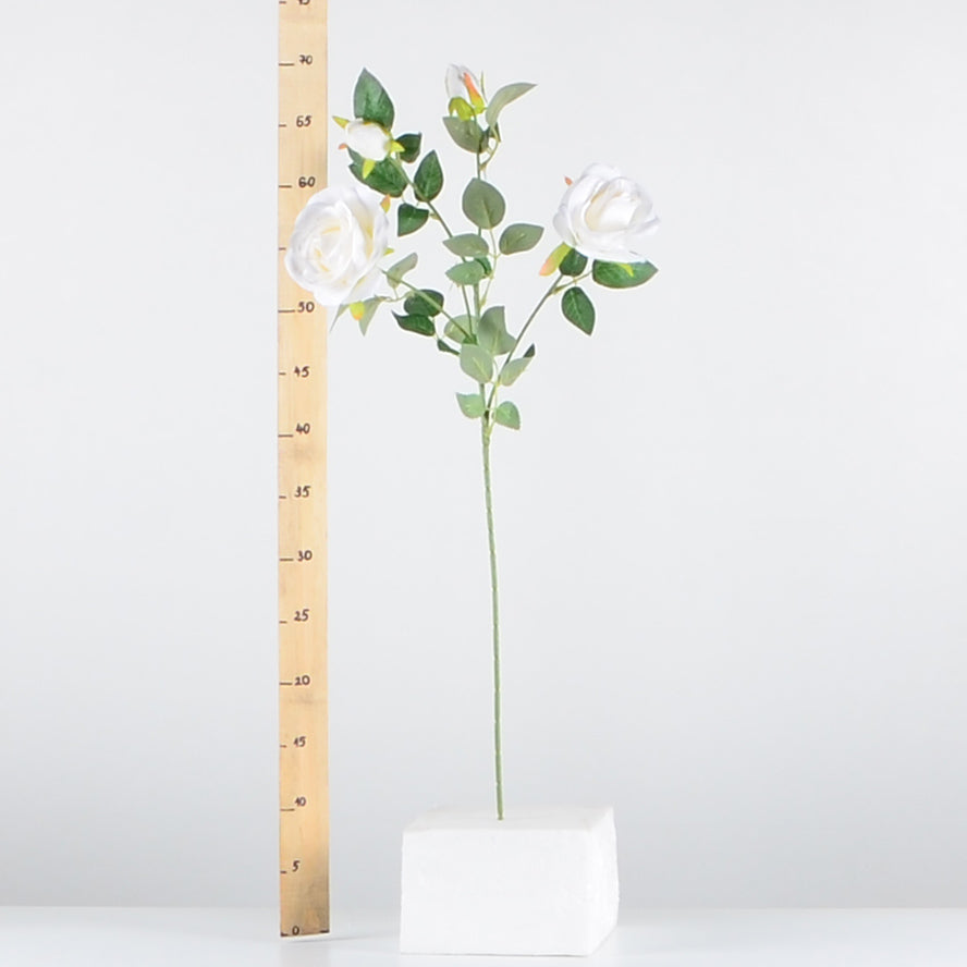 Стрък роза с два цвята и две пъпки - baron.bg