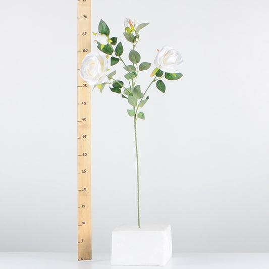 Стрък роза с два цвята и две пъпки - baron.bg