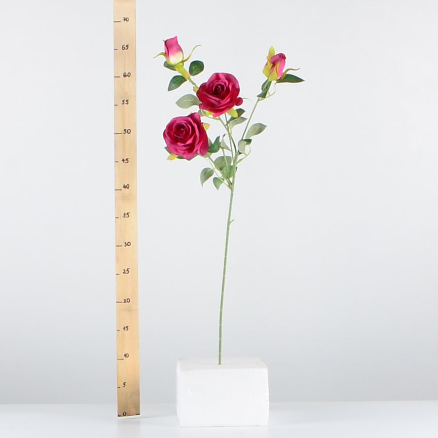 Стрък роза с два цвята и две пъпки - baron.bg