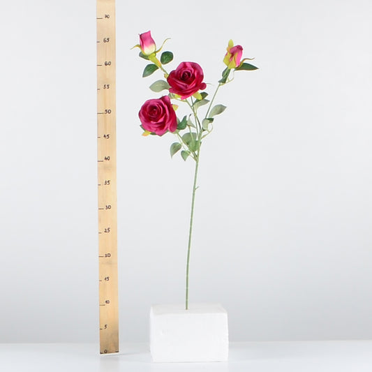 Стрък роза с два цвята и две пъпки - baron.bg