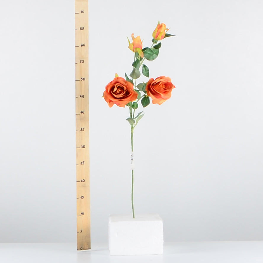 Стрък роза с два цвята и две пъпки - baron.bg