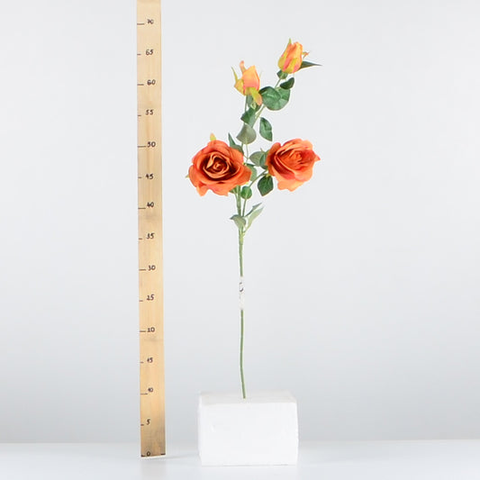 Стрък роза с два цвята и две пъпки - baron.bg