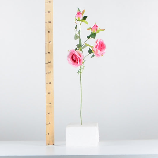 Стрък роза с два цвята и две пъпки - baron.bg