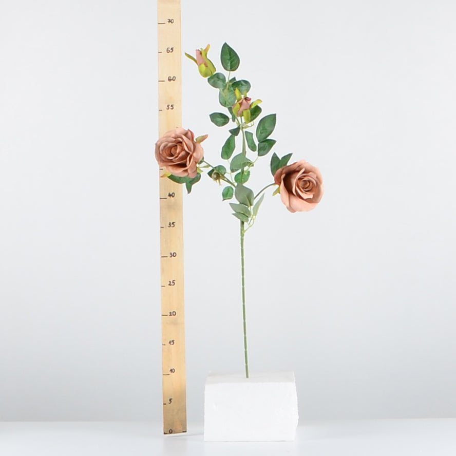 Стрък роза с два цвята и две пъпки ―  Baron.bg