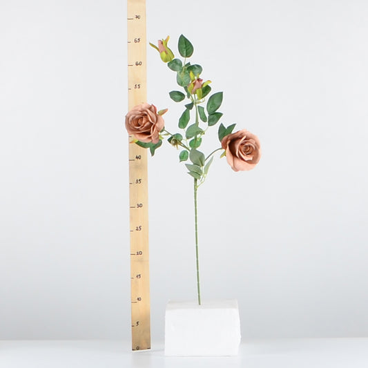 Стрък роза с два цвята и две пъпки ―  Baron.bg