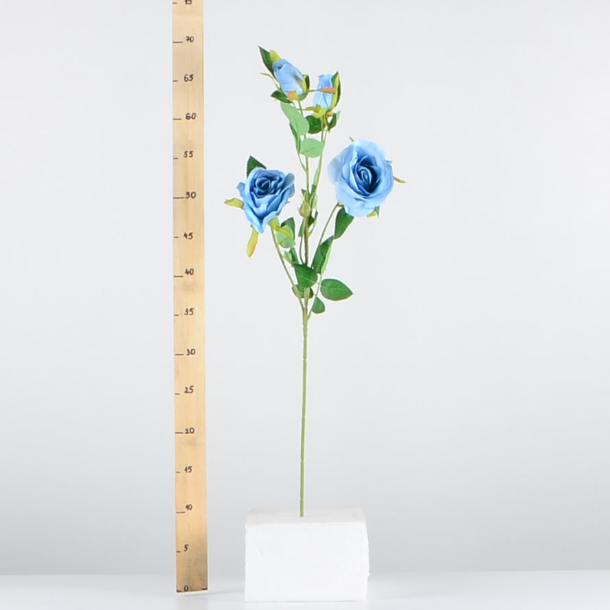 Стрък роза с два цвята и две пъпки - baron.bg