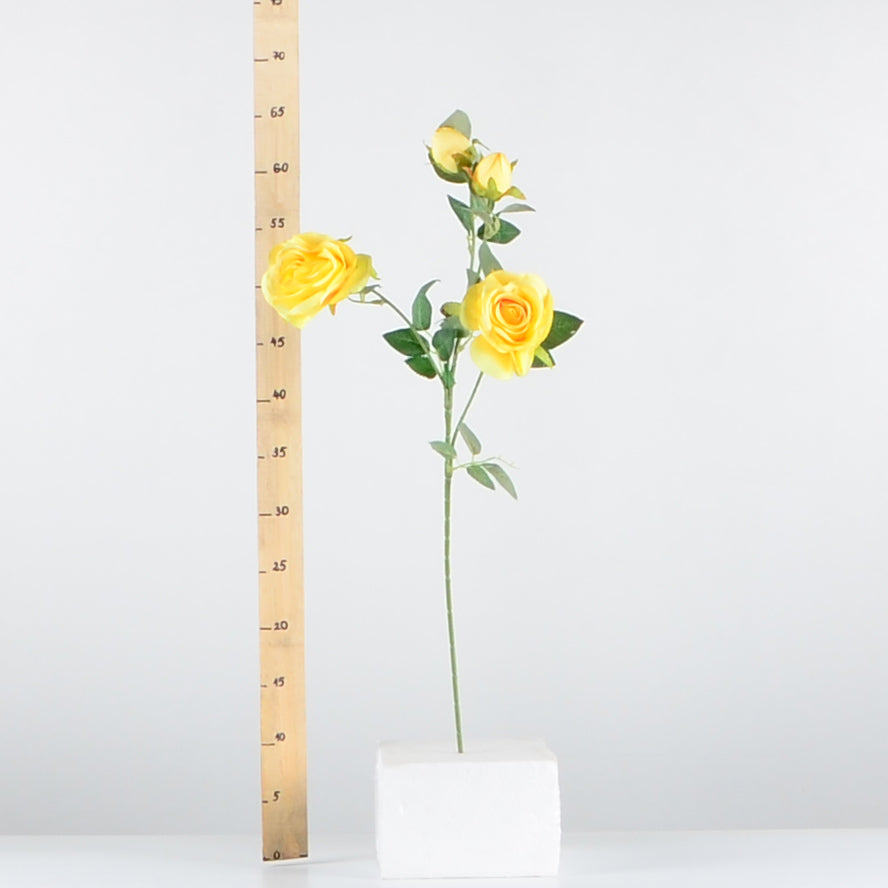 Стрък роза с два цвята и две пъпки - baron.bg