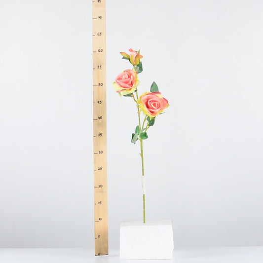 Стрък роза с два цвята и една пъпка - baron.bg