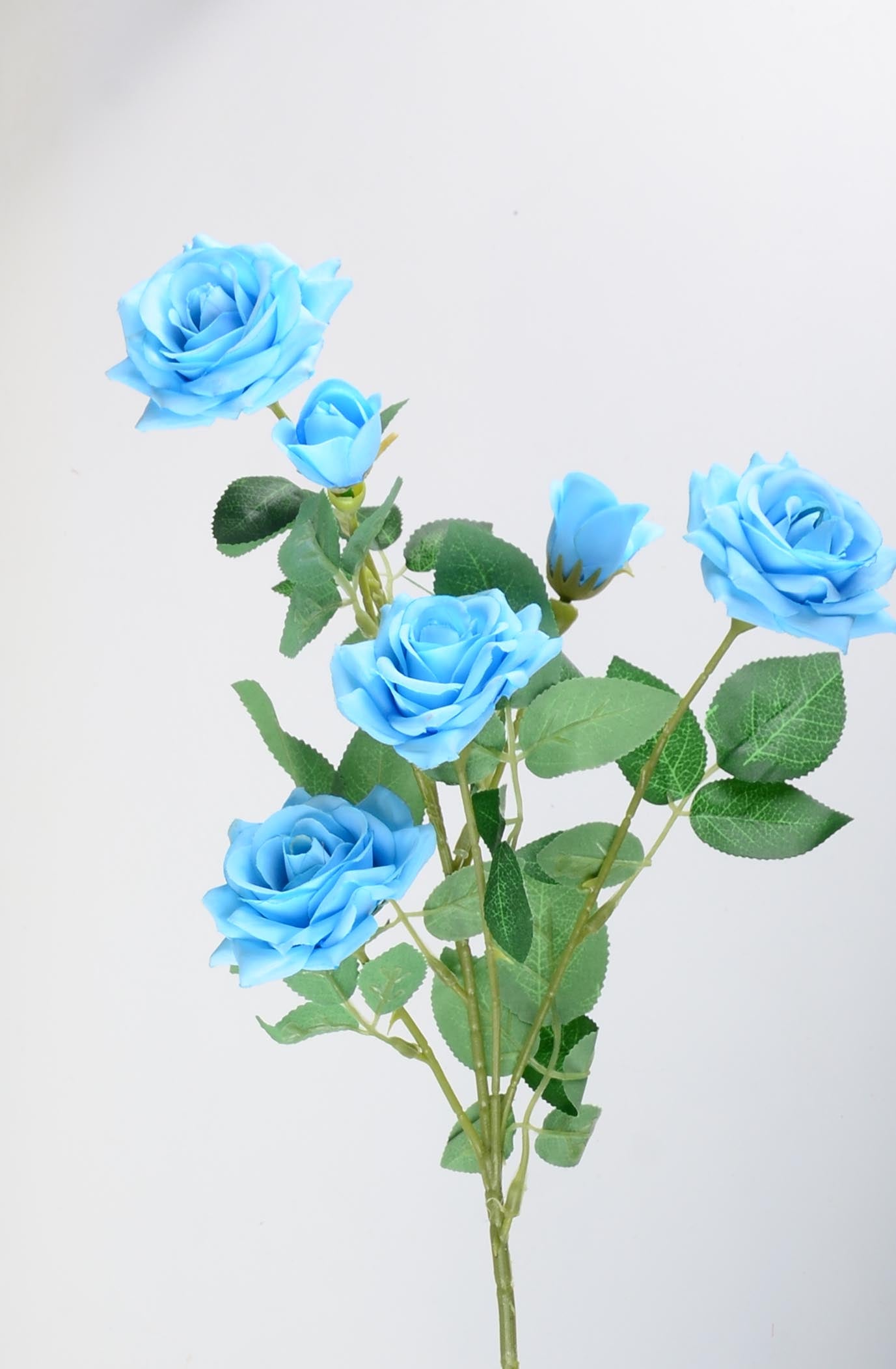 Стрък роза с четири цвята и две пъпки - baron.bg