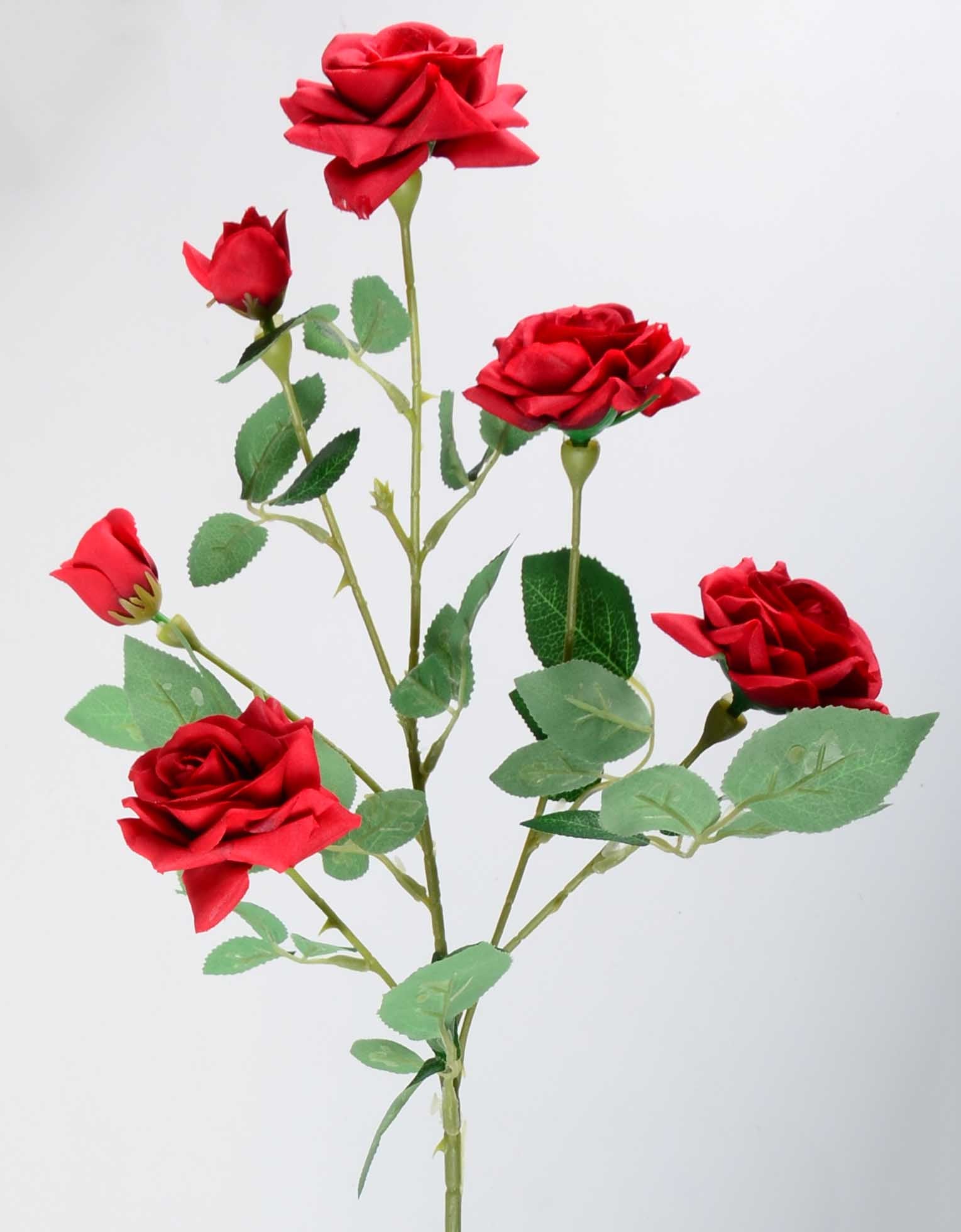 Стрък роза с четири цвята и две пъпки - baron.bg