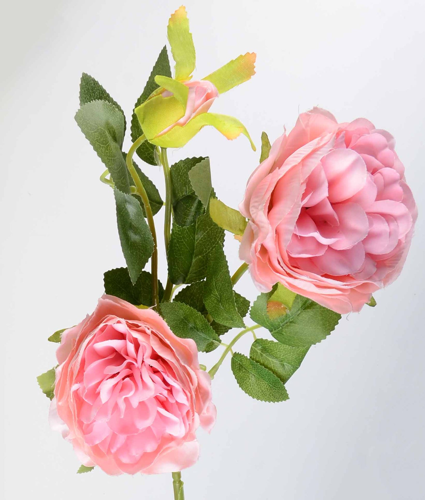 Стрък роза с два цвята и една пъпка - INR188C