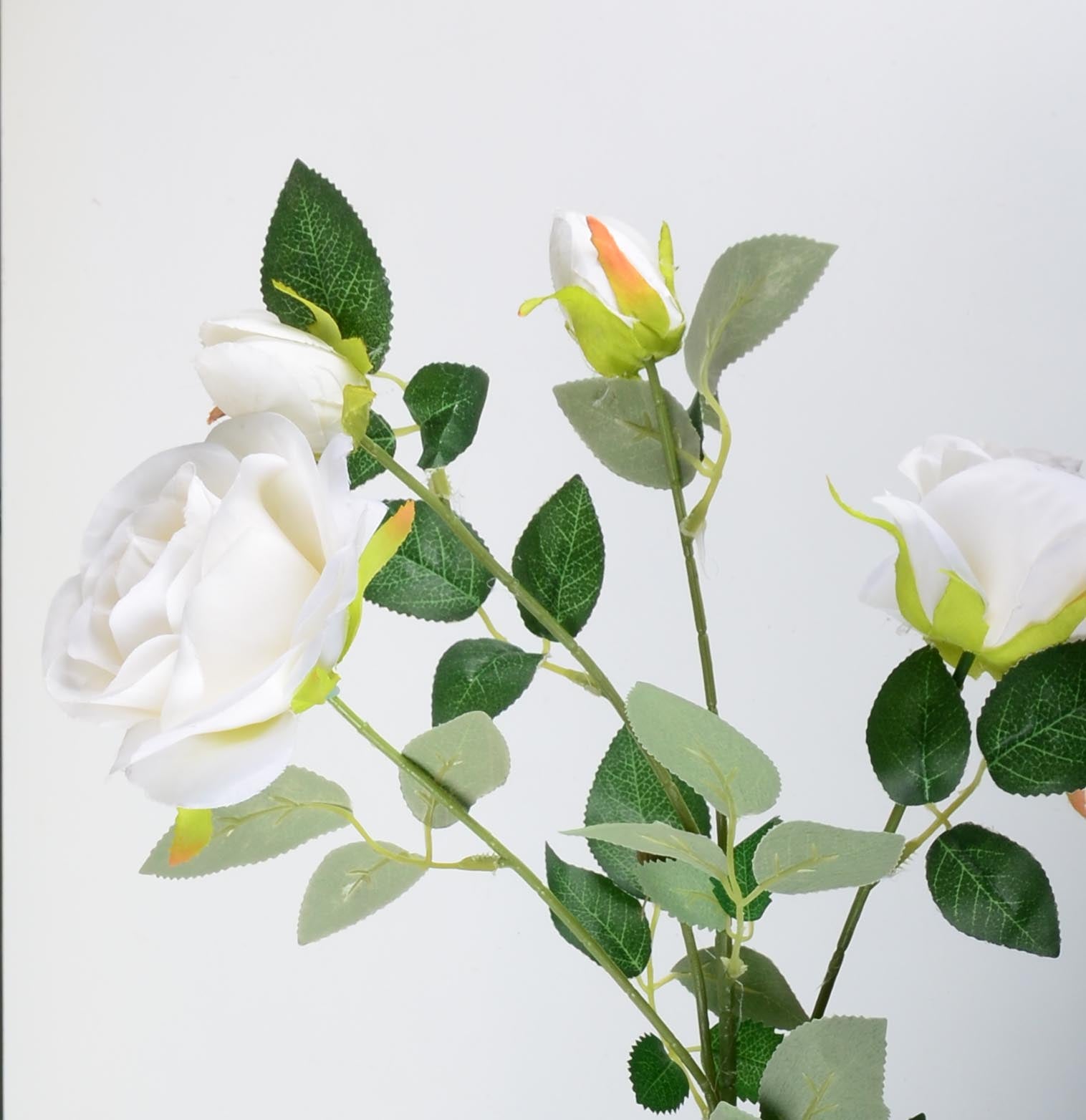 Стрък роза с два цвята и две пъпки - baron.bg