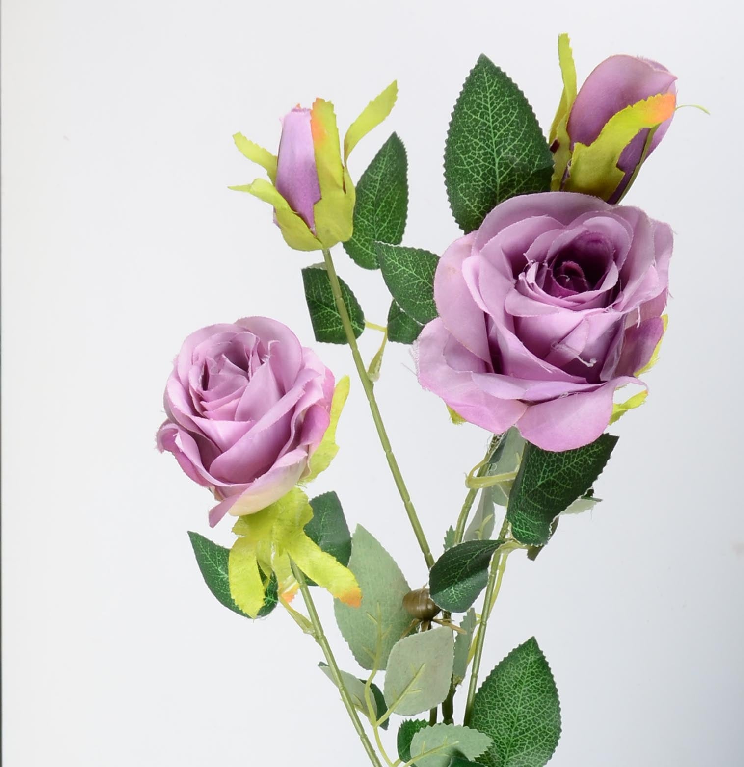 Стрък роза с два цвята и две пъпки - baron.bg