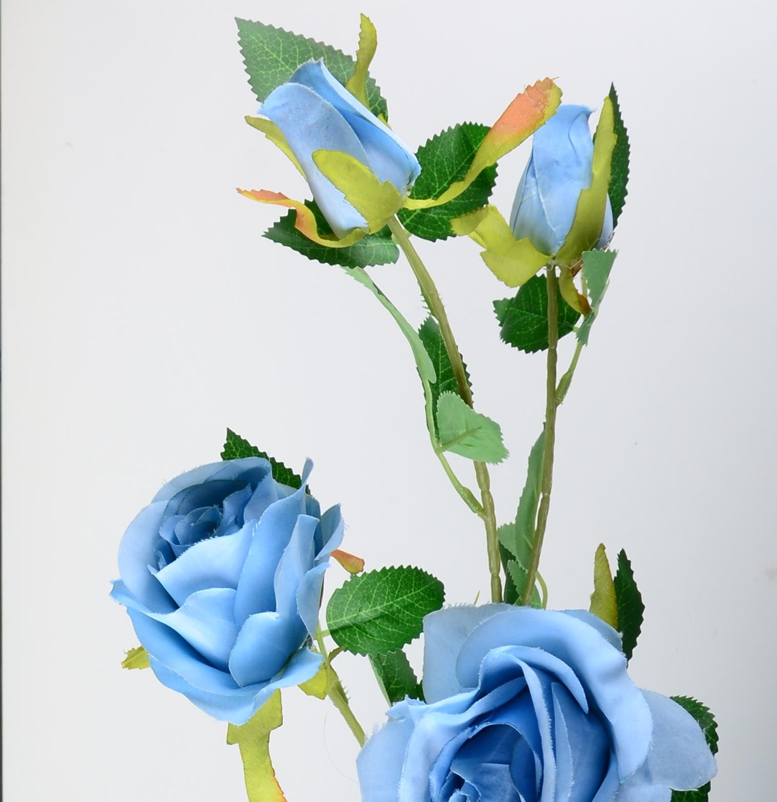 Стрък роза с два цвята и две пъпки - baron.bg