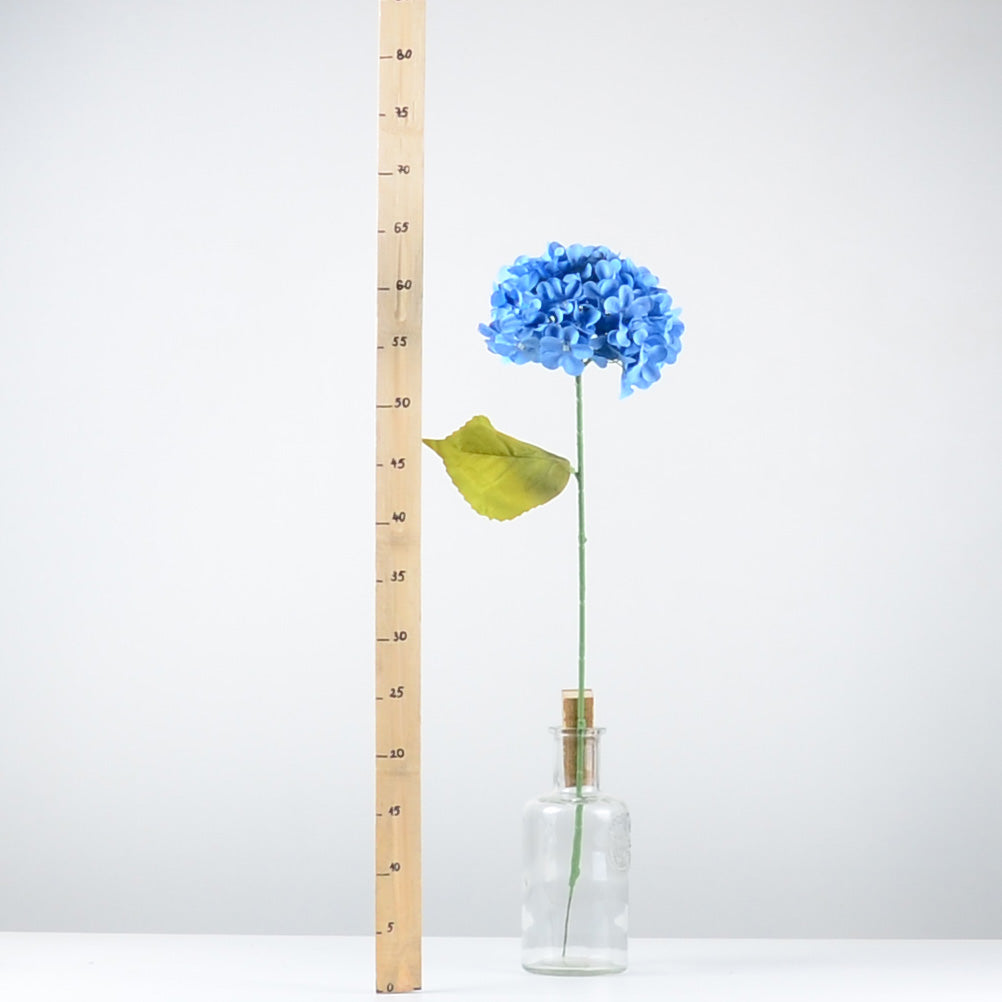 Декоративна хортензия - baron.bg