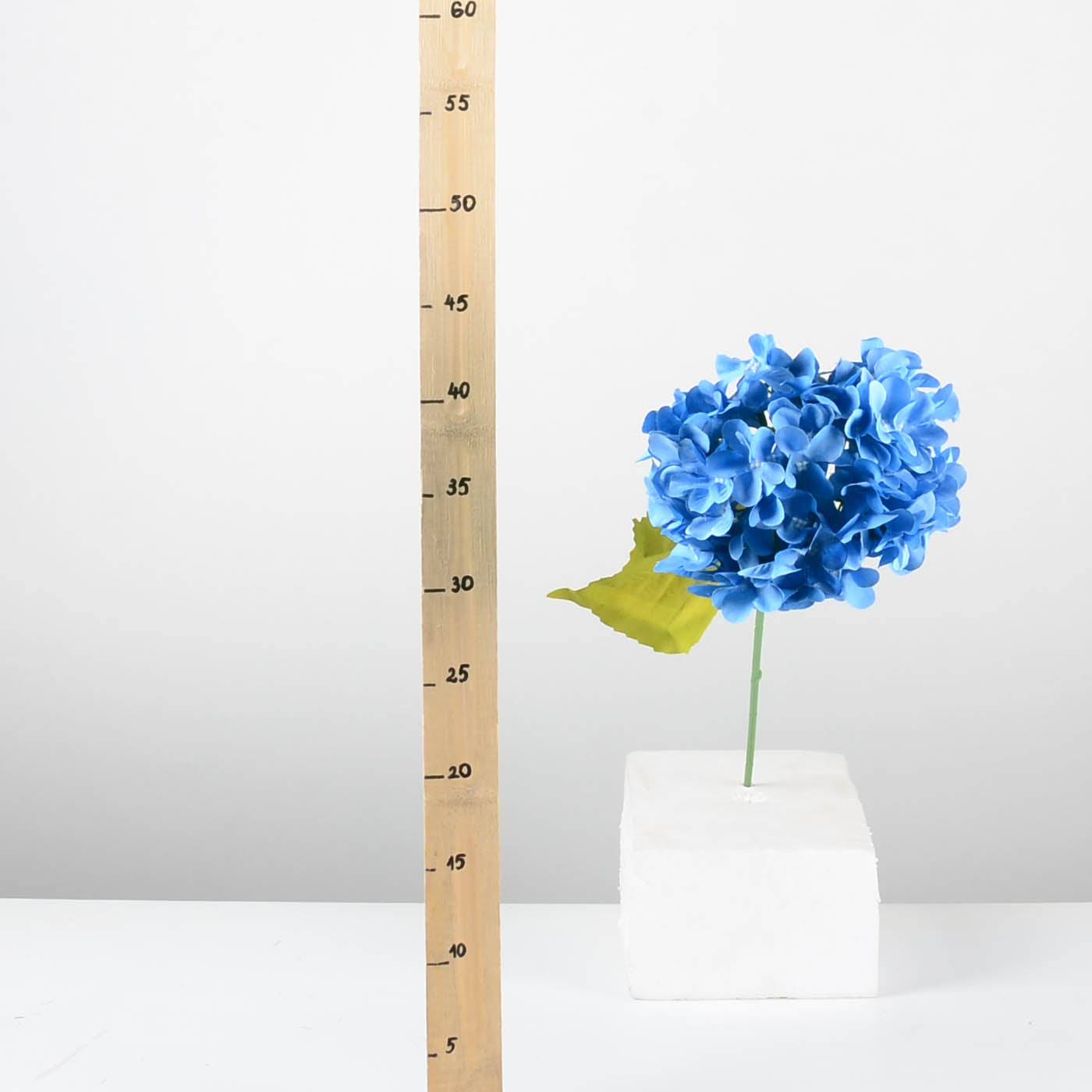 Декоративна хортензия - baron.bg