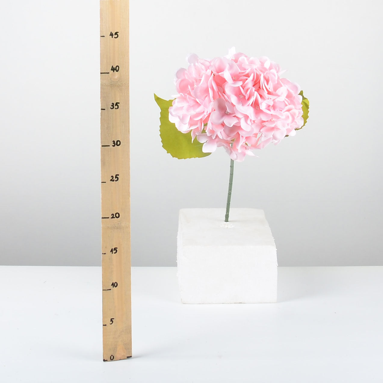 Декоративна хортензия - baron.bg