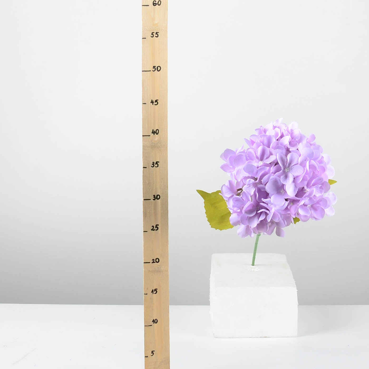 Декоративна хортензия - baron.bg