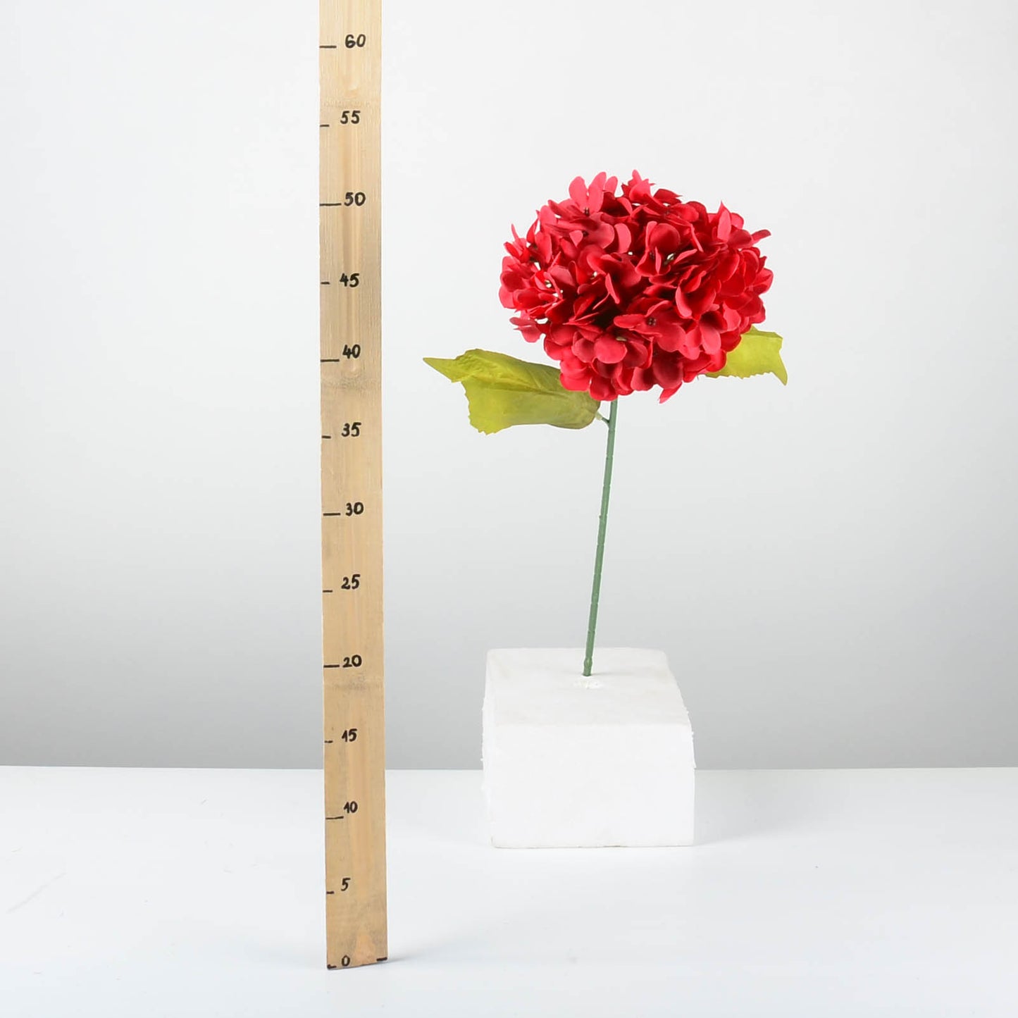 Декоративна хортензия - baron.bg