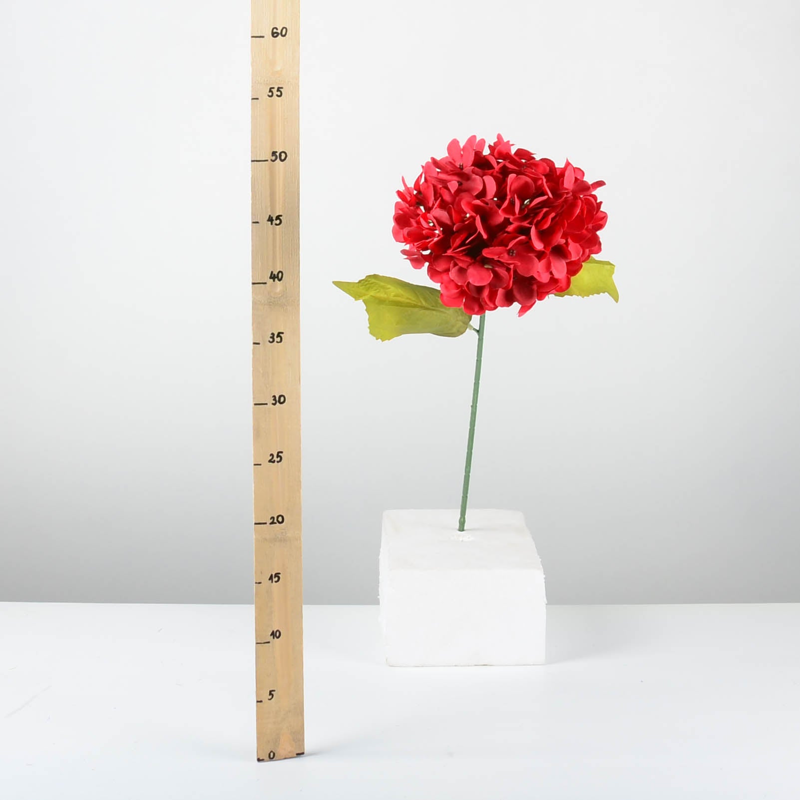 Декоративна хортензия - baron.bg