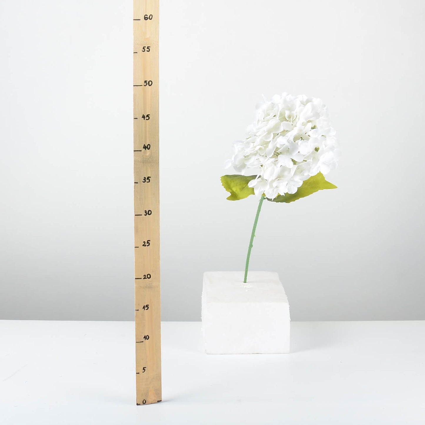 Декоративна хортензия - baron.bg