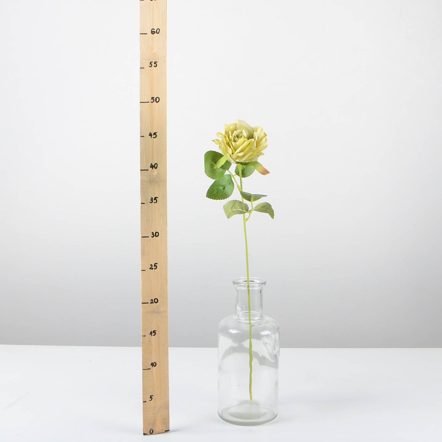 Декоративна роза - baron.bg