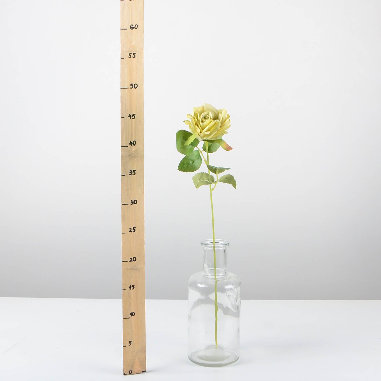 Декоративна роза - baron.bg