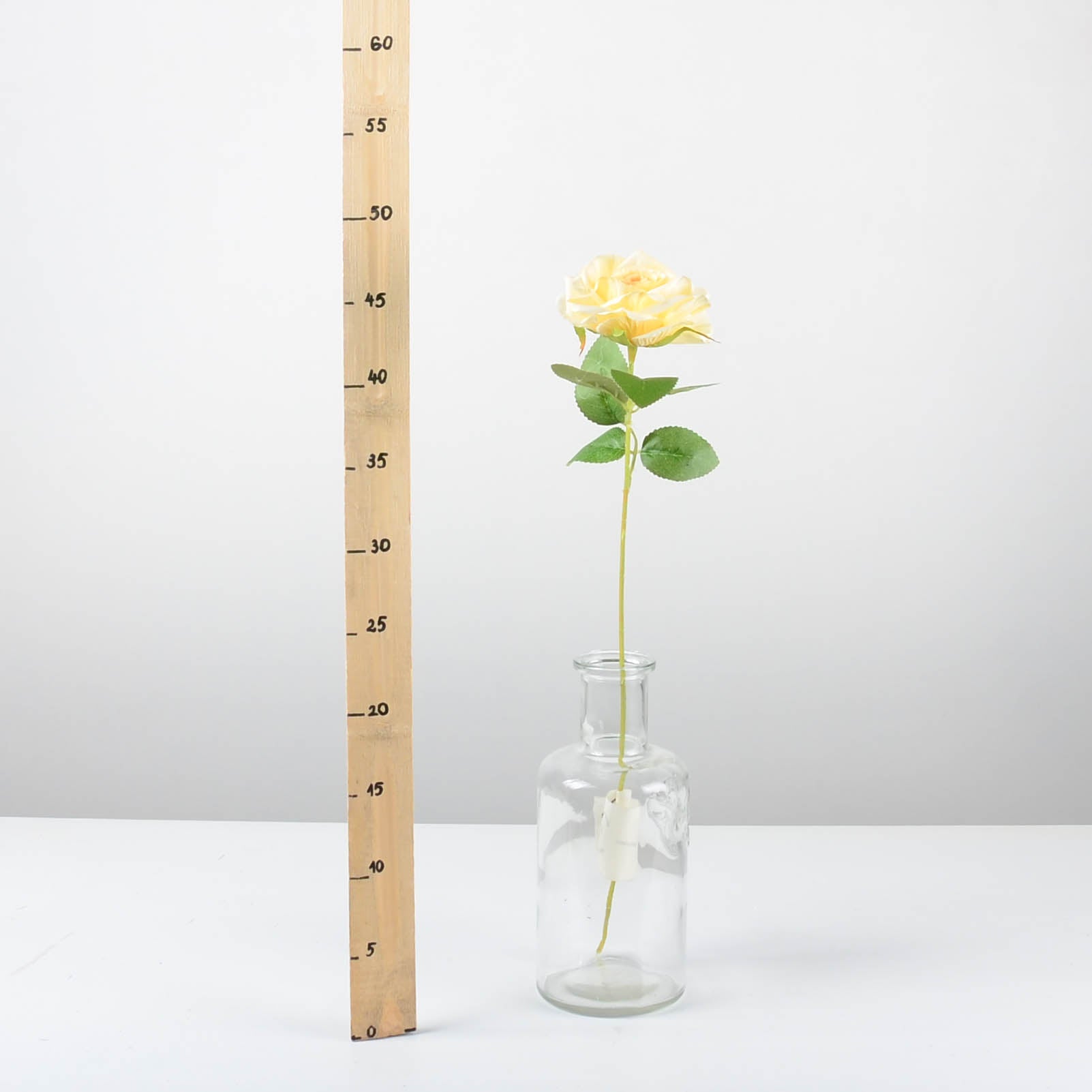 Декоративна роза - baron.bg