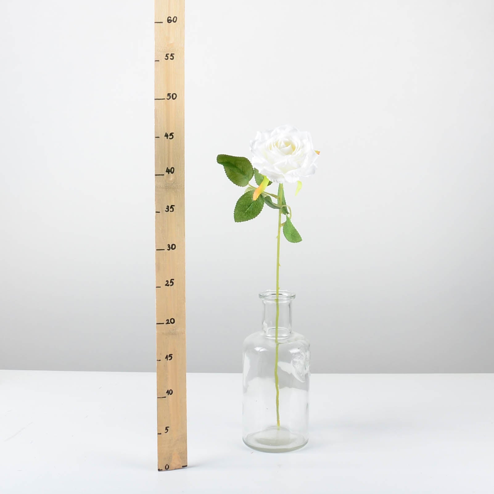 Декоративна роза - baron.bg