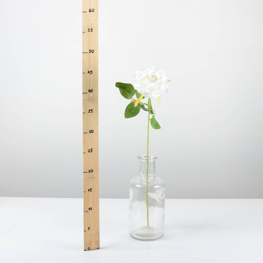 Декоративна роза - baron.bg