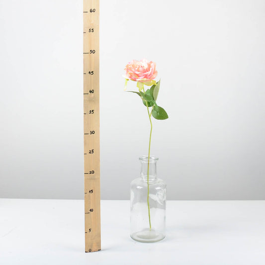 Декоративна роза - baron.bg