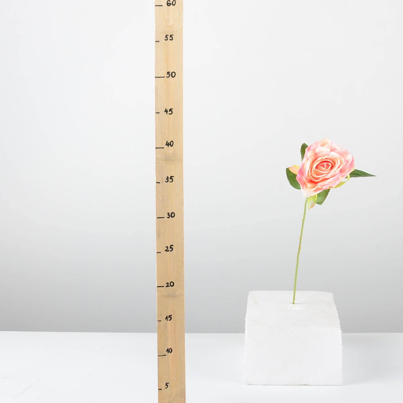 Декоративна роза - baron.bg